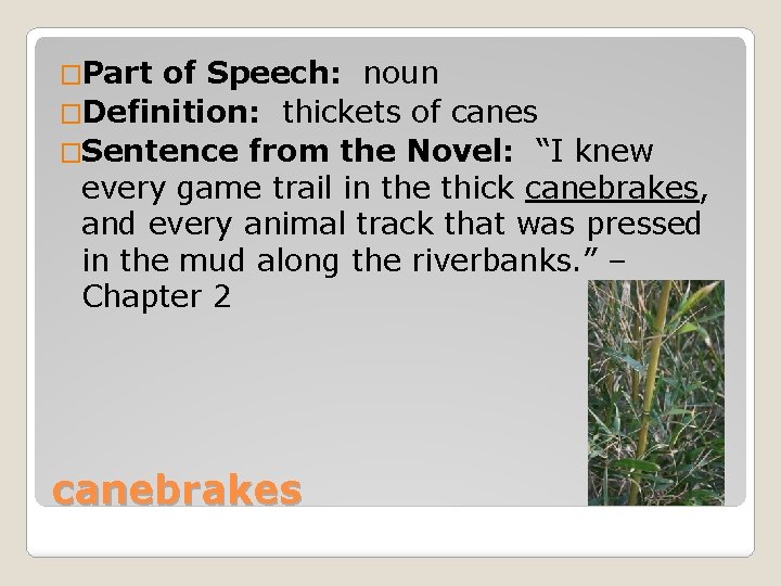 �Part of Speech: noun �Definition: thickets of canes �Sentence from the Novel: “I knew