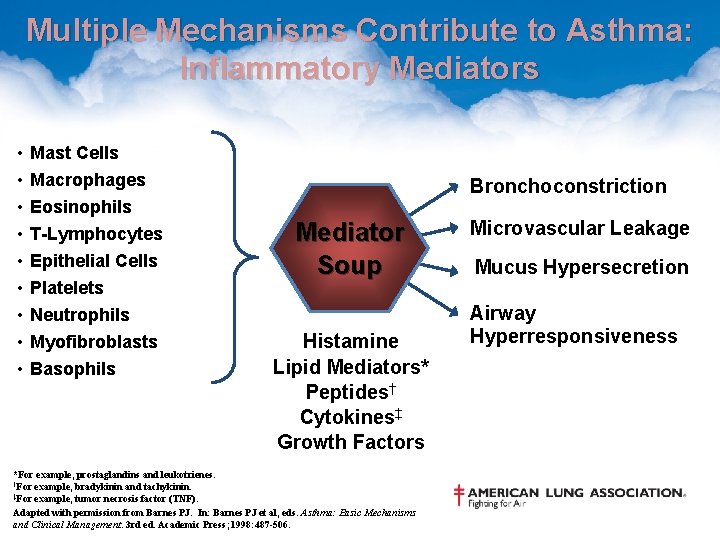 Multiple Mechanisms Contribute to Asthma: Inflammatory Mediators • • • Mast Cells Macrophages Eosinophils