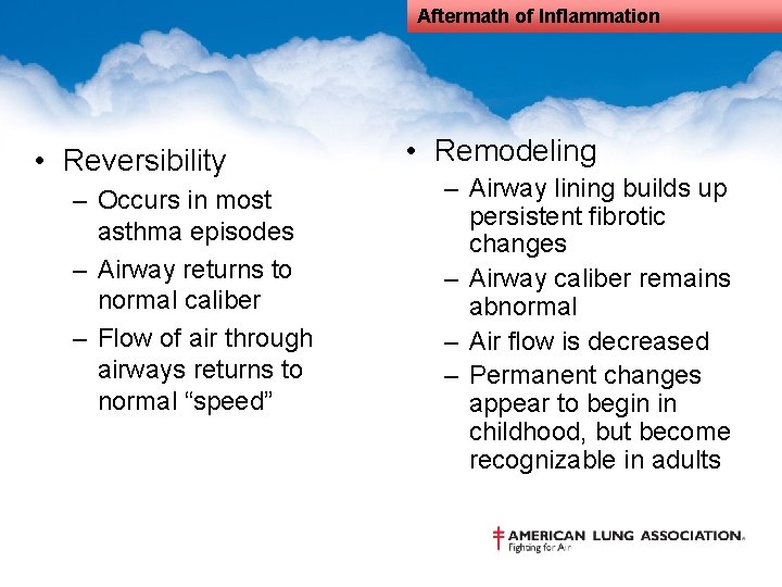 Aftermath of Inflammation • Reversibility – Occurs in most asthma episodes – Airway returns