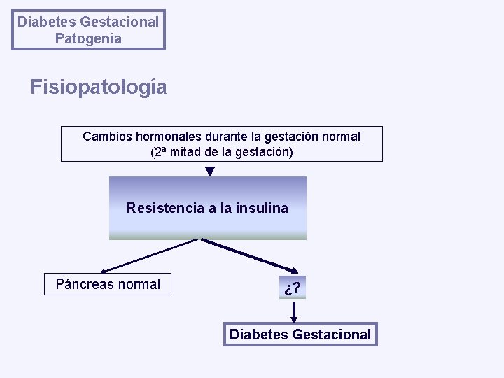 Diabetes Gestacional Patogenia Fisiopatología Cambios hormonales durante la gestación normal (2ª mitad de la
