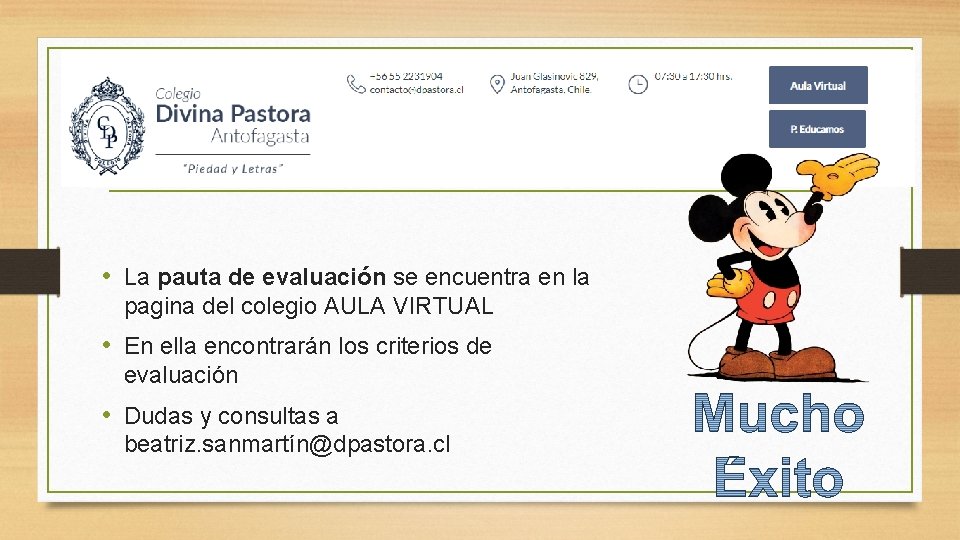  • La pauta de evaluación se encuentra en la pagina del colegio AULA