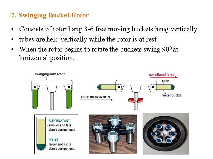 2. Swinging Bucket Rotor • Consists of rotor hang 3 -6 free moving buckets