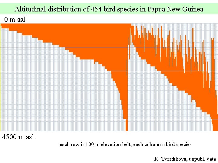 Altitudinal distribution of 454 bird species in Papua New Guinea 0 m asl. 4500