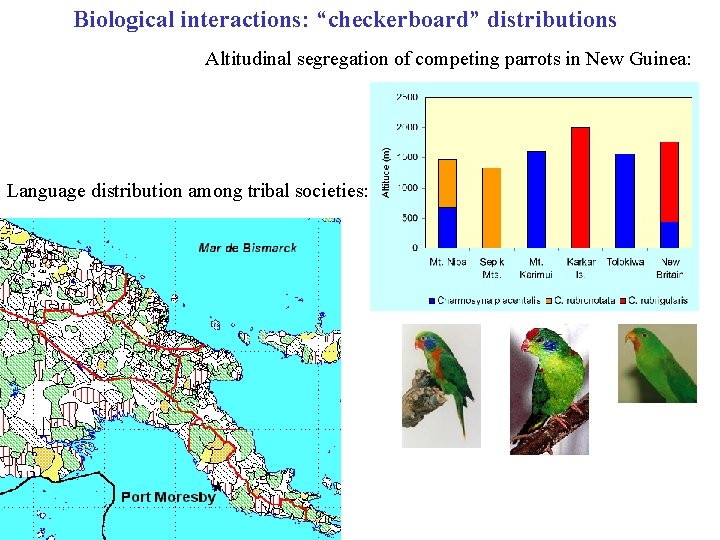 Biological interactions: “checkerboard” distributions Altitudinal segregation of competing parrots in New Guinea: Language distribution