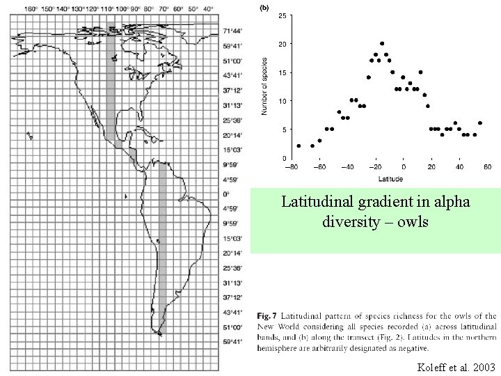 Latitudinal gradient in alpha diversity – owls Koleff et al. 2003 