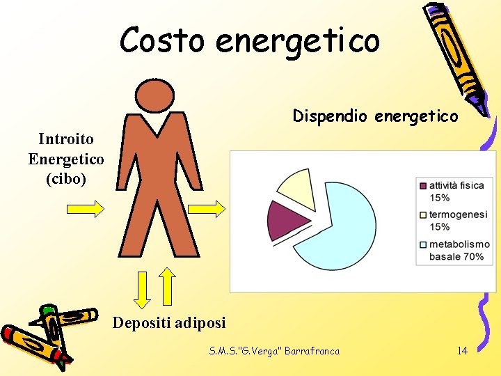 Costo energetico Dispendio energetico Introito Energetico (cibo) Depositi adiposi S. M. S. "G. Verga"