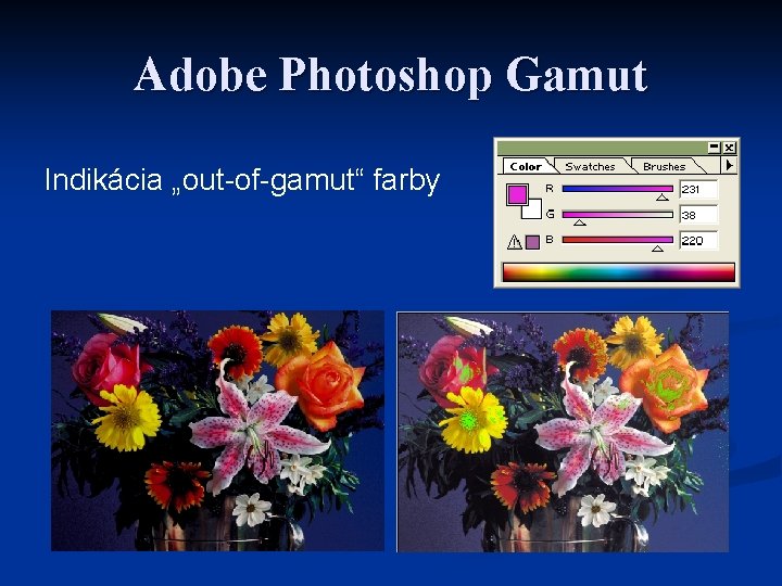 Adobe Photoshop Gamut Indikácia „out-of-gamut“ farby 