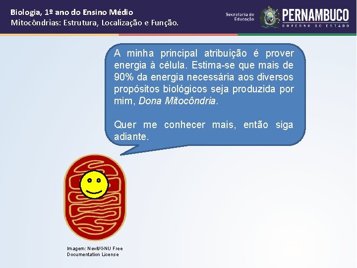 Biologia, 1º ano do Ensino Médio Mitocôndrias: Estrutura, Localização e Função. A minha principal