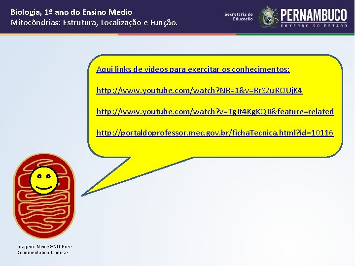 Biologia, 1º ano do Ensino Médio Mitocôndrias: Estrutura, Localização e Função. Aqui links de