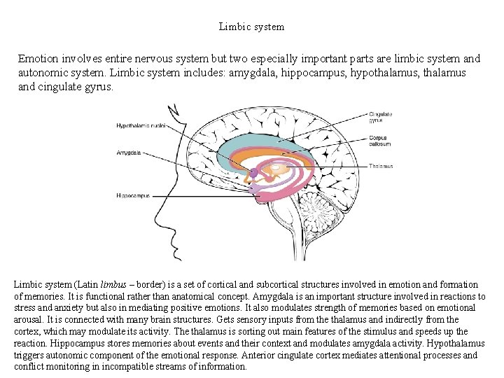 Limbic system Emotion involves entire nervous system but two especially important parts are limbic