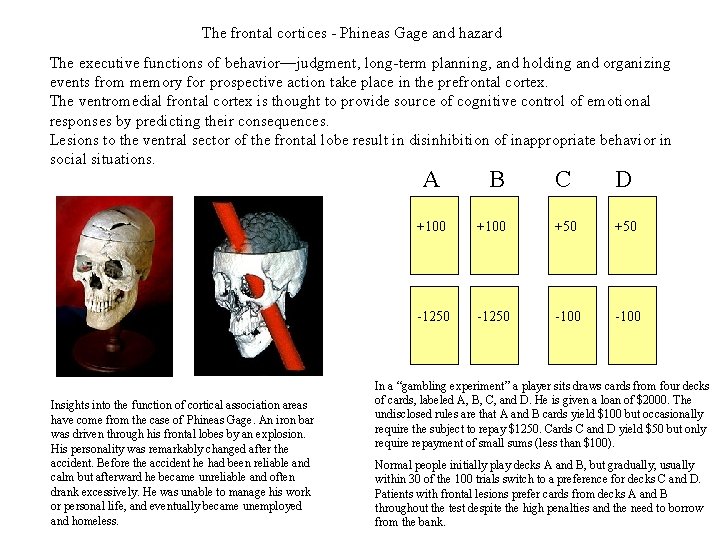 The frontal cortices - Phineas Gage and hazard The executive functions of behavior—judgment, long-term