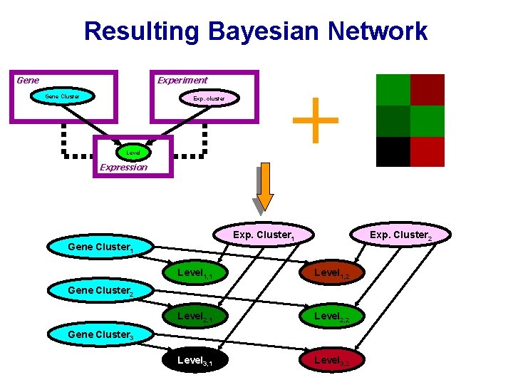 Resulting Bayesian Network Gene Experiment Gene Cluster Exp. cluster Level Expression + Exp. Cluster
