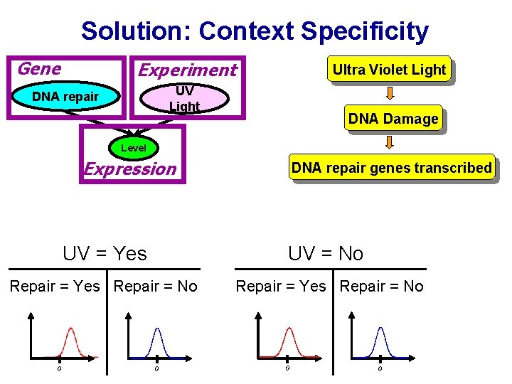 Solution: Context Specificity Gene Experiment Ultra Violet Light UV Light DNA repair DNA Damage