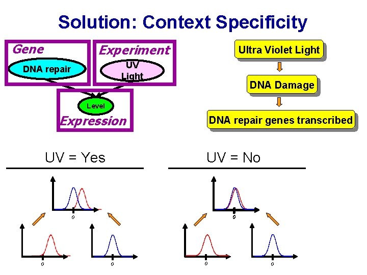 Solution: Context Specificity Gene Experiment Ultra Violet Light UV Light DNA repair DNA Damage