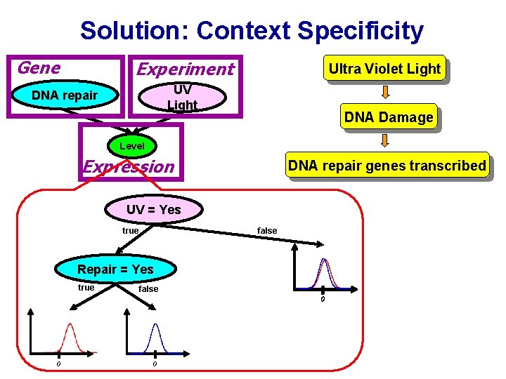 Solution: Context Specificity Gene Experiment Ultra Violet Light UV Light DNA repair DNA Damage