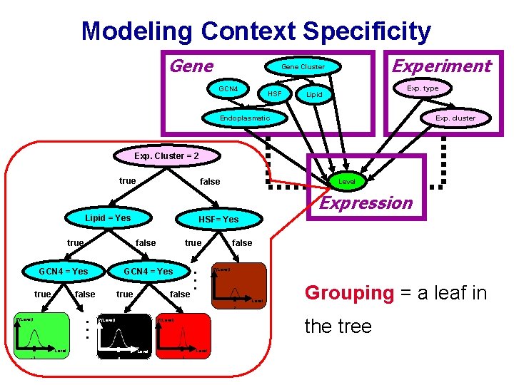 Modeling Context Specificity Gene Experiment Gene Cluster GCN 4 HSF Exp. type Lipid Endoplasmatic