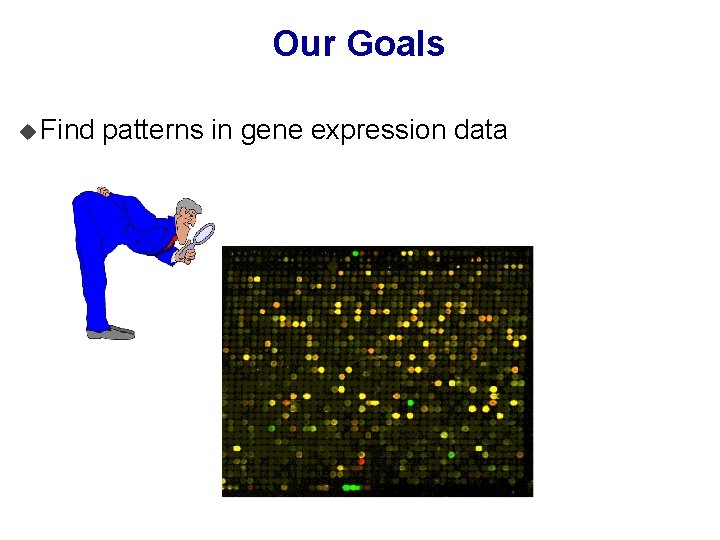 Our Goals u Find patterns in gene expression data 