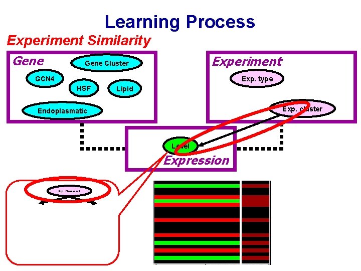 Learning Process Experiment Similarity Gene Experiment Gene Cluster GCN 4 Exp. type HSF Lipid