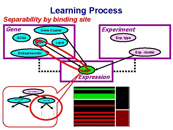 Learning Process Separability by binding site Gene Experiment Gene Cluster GCN 4 Exp. type