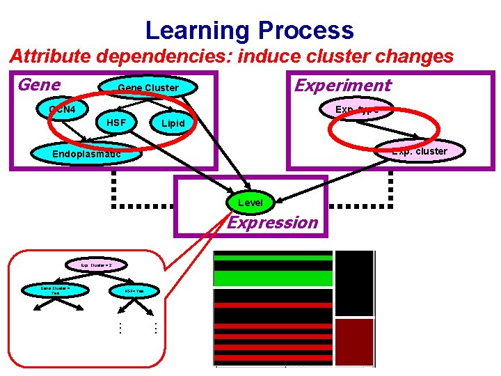 Learning Process Attribute dependencies: induce cluster changes Gene Experiment Gene Cluster GCN 4 Exp.