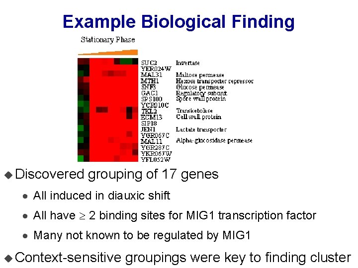 Example Biological Finding u Discovered grouping of 17 genes · All induced in diauxic