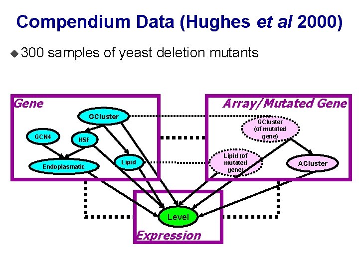 Compendium Data (Hughes et al 2000) u 300 samples of yeast deletion mutants Gene