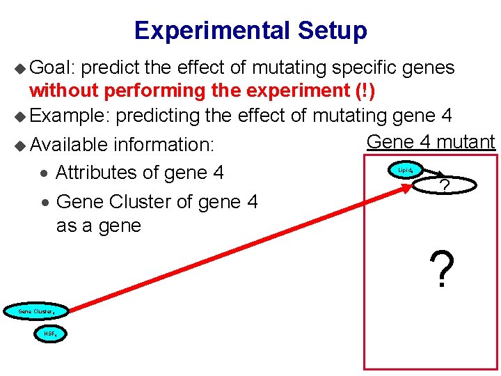 Experimental Setup u Goal: predict the effect of mutating specific genes without performing the