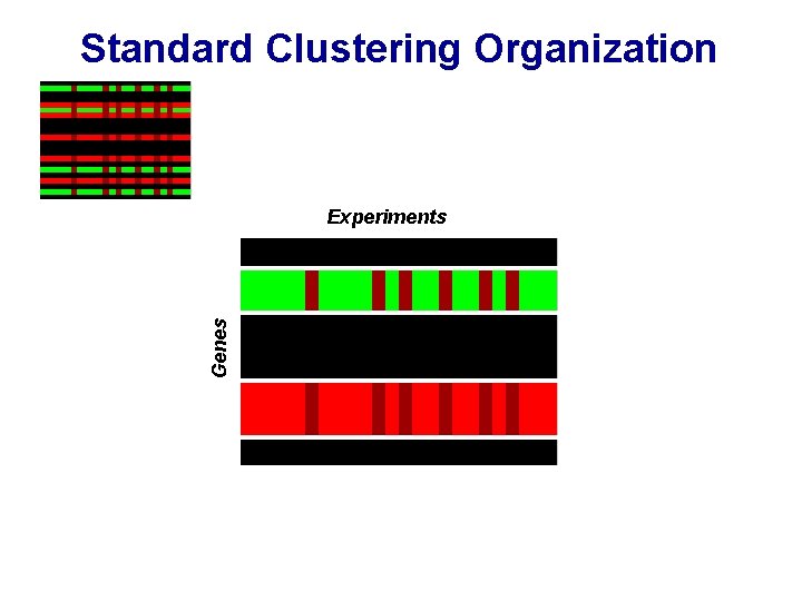 Standard Clustering Organization Genes Experiments 