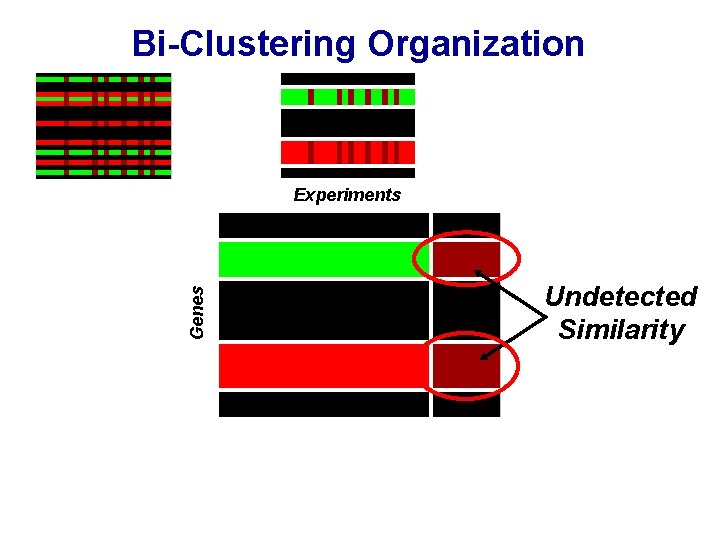 Bi-Clustering Organization Genes Experiments Undetected Similarity 