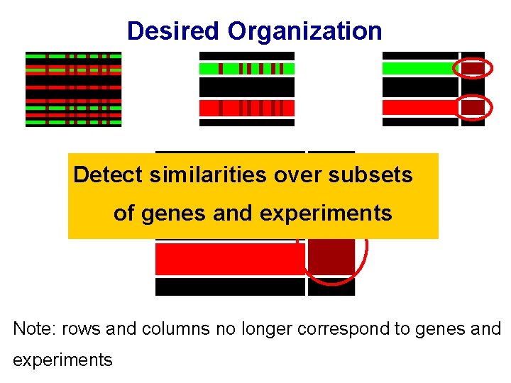 Desired Organization Detect similarities over subsets of genes and experiments Note: rows and columns