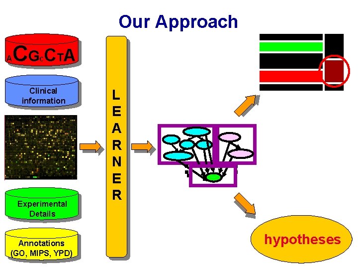 Our Approach A CG CT A C Clinical information Experimental Details Annotations (GO, MIPS,