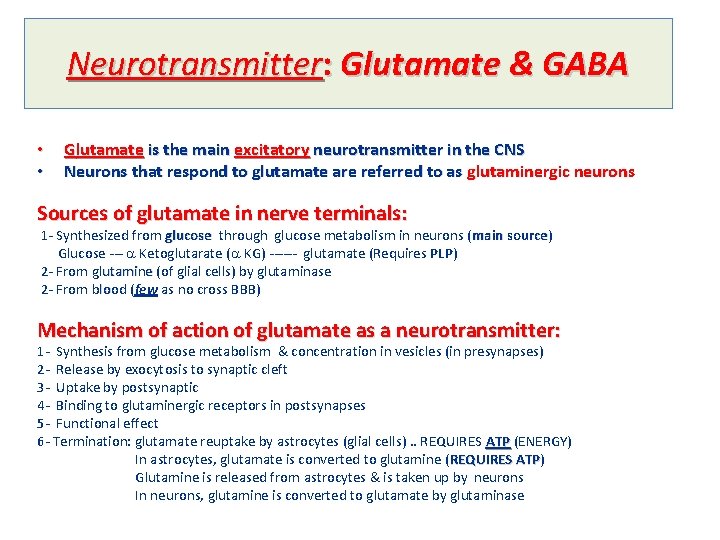 Neurotransmitter: Glutamate & GABA • • Glutamate is the main excitatory neurotransmitter in the
