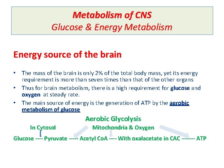 Metabolism of CNS Glucose & Energy Metabolism Energy source of the brain • The