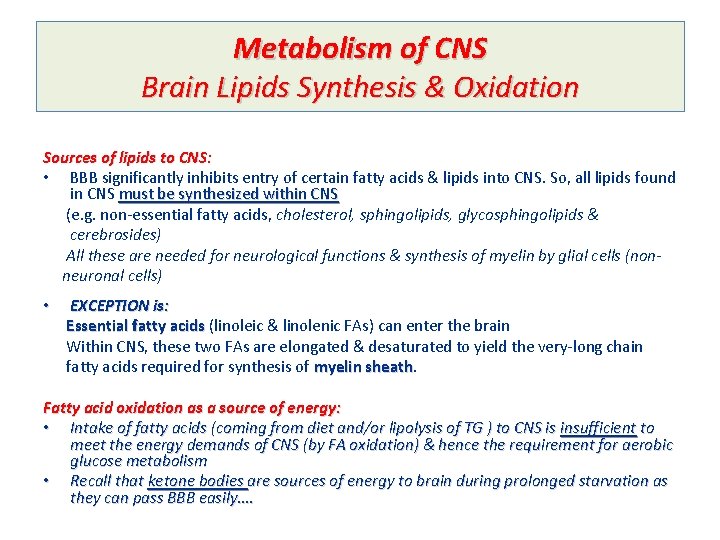 Metabolism of CNS Brain Lipids Synthesis & Oxidation Sources of lipids to CNS: •