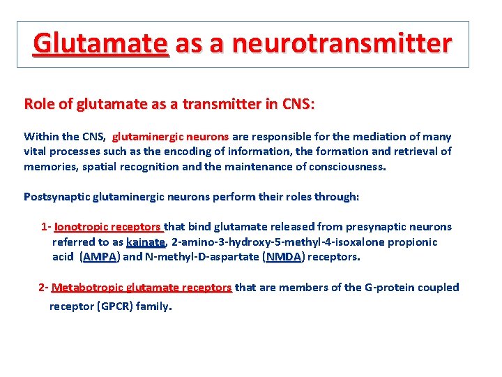 Glutamate as a neurotransmitter Role of glutamate as a transmitter in CNS: Within the
