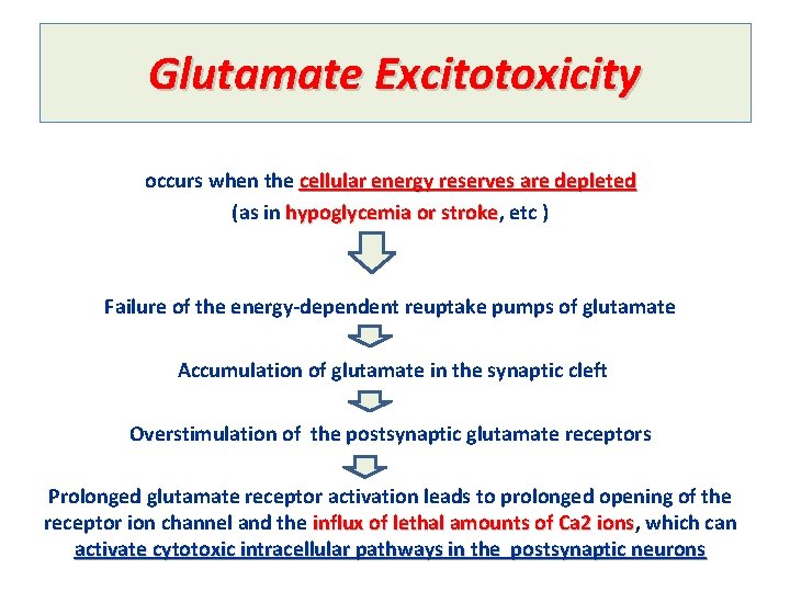 Glutamate Excitotoxicity occurs when the cellular energy reserves are depleted (as in hypoglycemia or