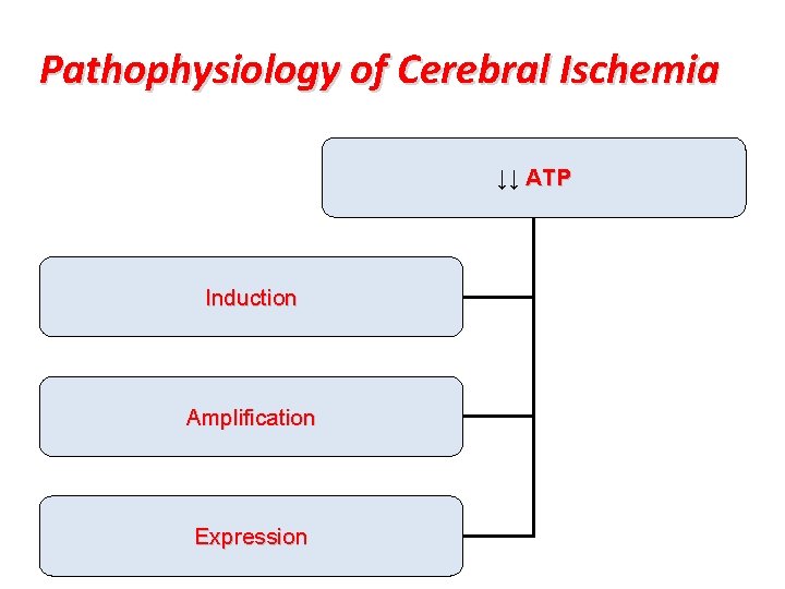 Pathophysiology of Cerebral Ischemia ↓↓ ATP Induction Amplification Expression 