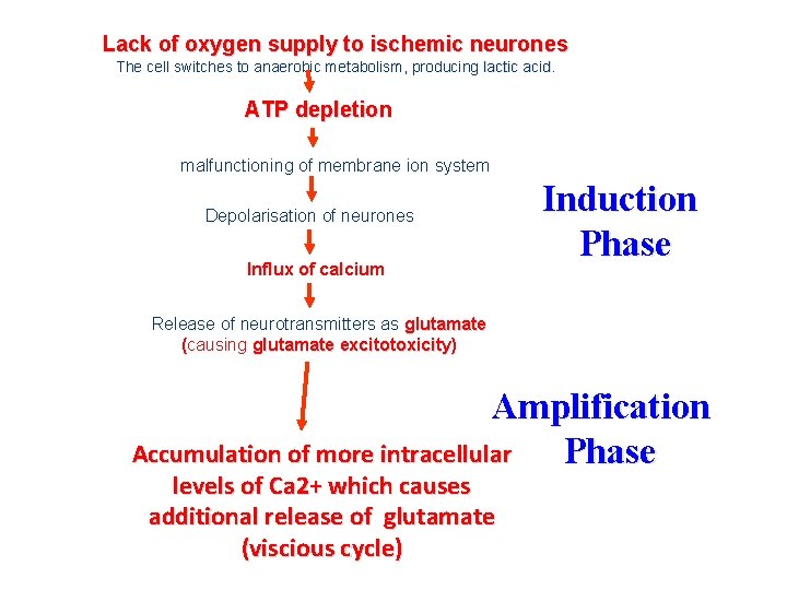 Lack of oxygen supply to ischemic neurones The cell switches to anaerobic metabolism, producing