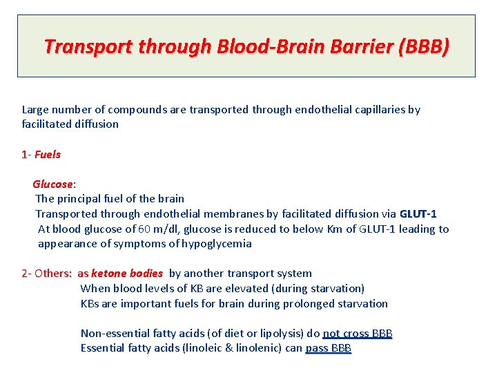 Transport through Blood-Brain Barrier (BBB) Large number of compounds are transported through endothelial capillaries