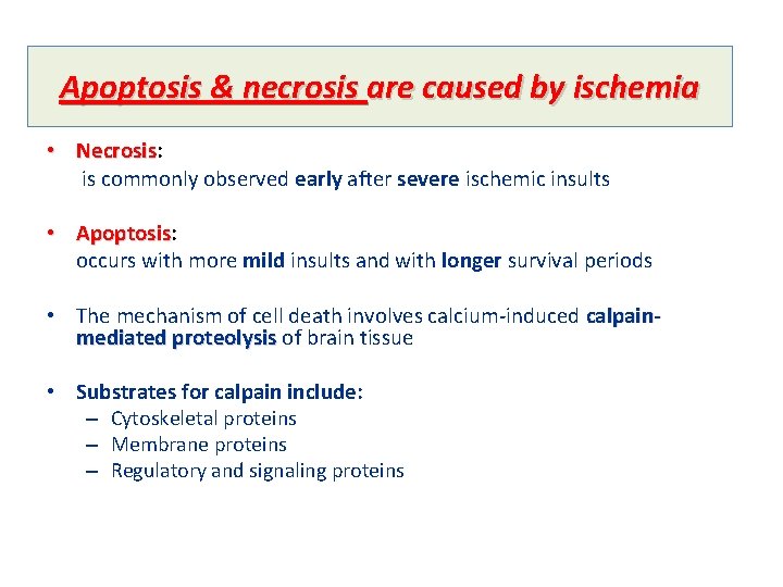 Apoptosis & necrosis are caused by ischemia • Necrosis: Necrosis is commonly observed early