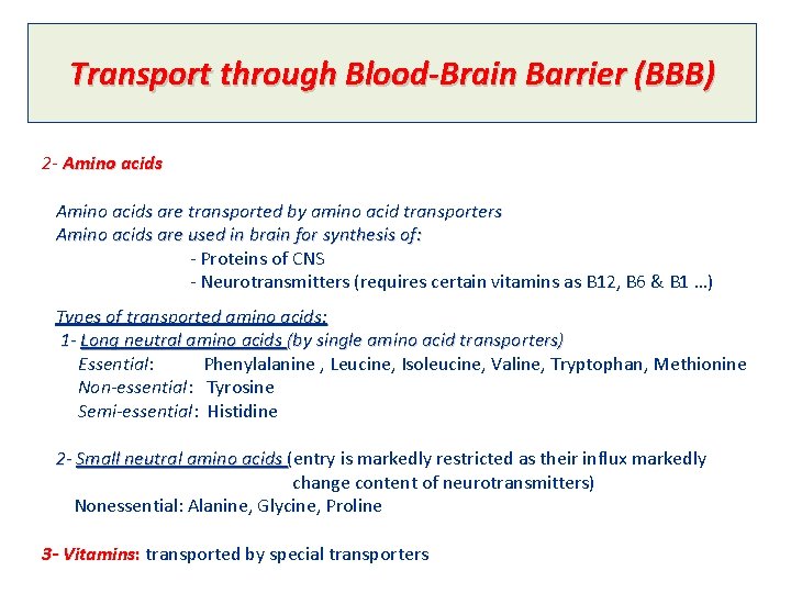 Transport through Blood-Brain Barrier (BBB) 2 - Amino acids are transported by amino acid
