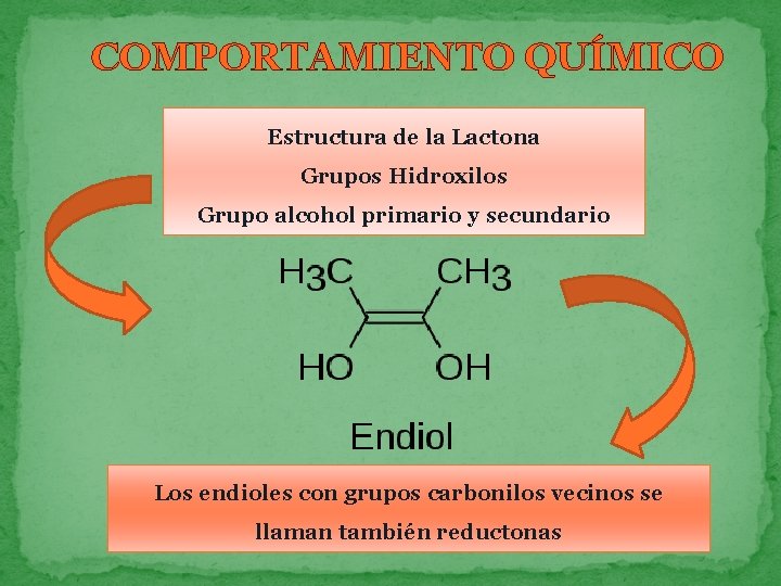 COMPORTAMIENTO QUÍMICO Estructura de la Lactona Grupos Hidroxilos Grupo alcohol primario y secundario Los