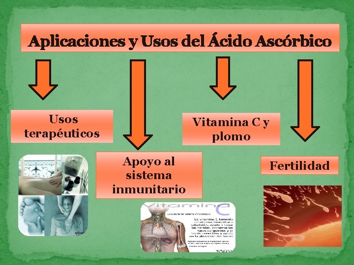 Aplicaciones y Usos del Ácido Ascórbico Usos terapéuticos Vitamina C y plomo Apoyo al