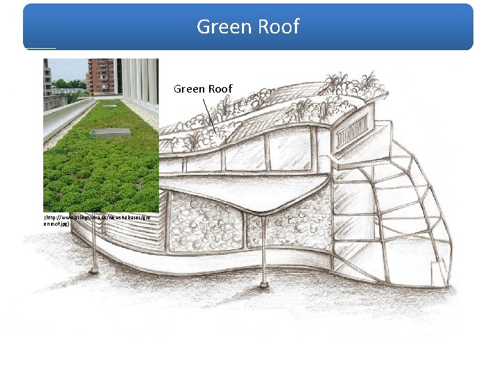 Green Roof (http: //www. arlingtonva. us/News. Releases/gre enroof. jpg) 