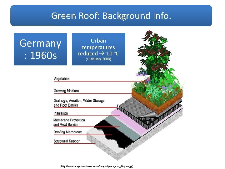 Green Roof: Background Info. Germany : 1960 s Urban temperatures reduced 10 °C (Yudelson,