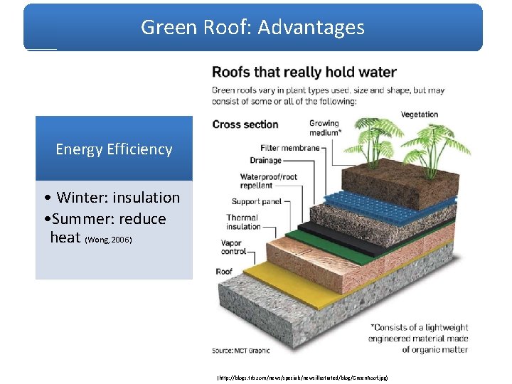 Green Roof: Advantages Energy Efficiency • Winter: insulation • Summer: reduce heat (Wong, 2006)