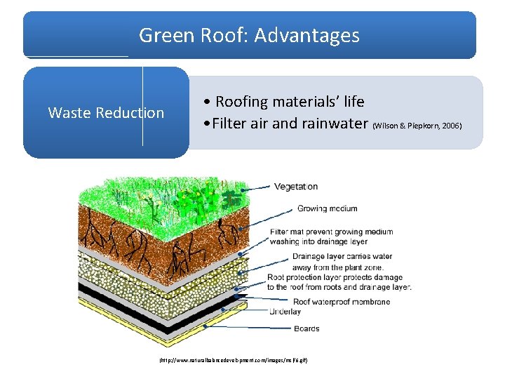 Green Roof: Advantages Waste Reduction • Roofing materials’ life • Filter air and rainwater