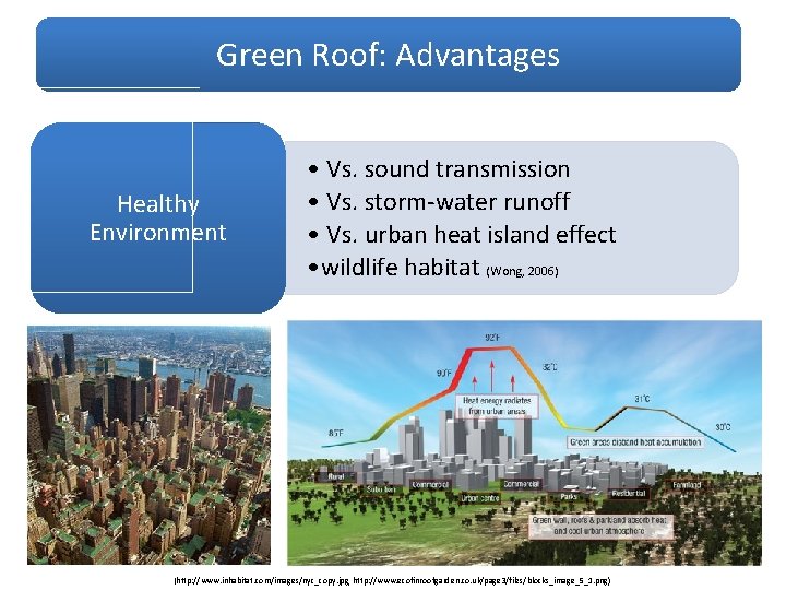 Green Roof: Advantages Healthy Environment • Vs. sound transmission • Vs. storm-water runoff •
