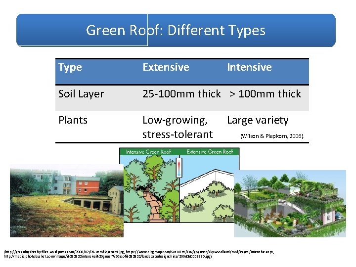 Green Roof: Different Types Type Extensive Intensive Soil Layer 25 -100 mm thick >