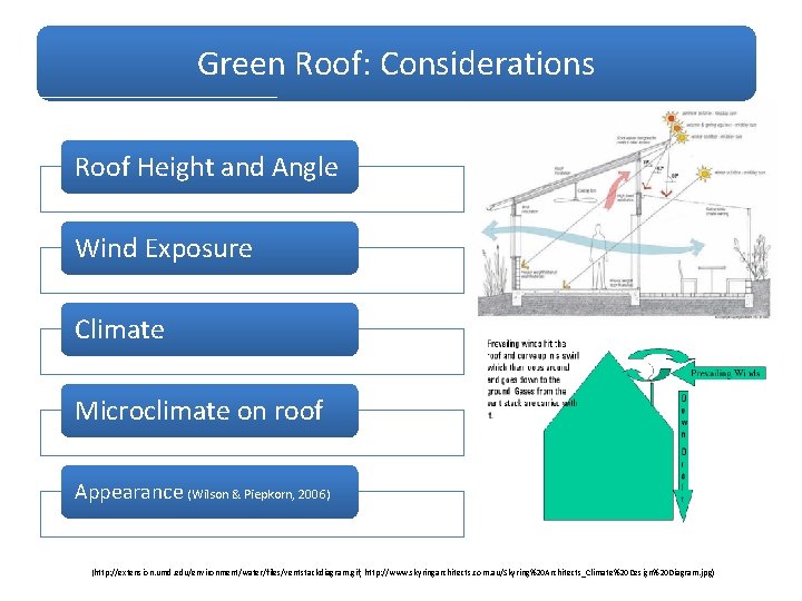 Green Roof: Considerations Roof Height and Angle Wind Exposure Climate Microclimate on roof Appearance